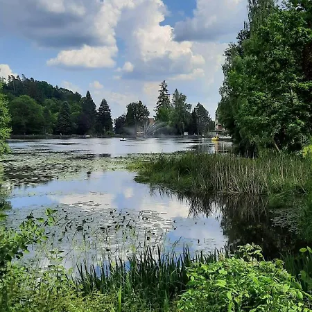 Daire Cm-harz-appartement Bad Sachsa