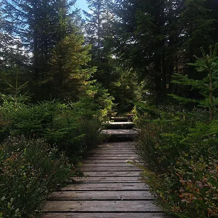 Cm-harz-appartement Apartamento Bad Sachsa