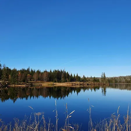 Apartamento Cm-harz-appartement *